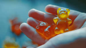 Gummy Bearsin Hand Close Up Wallpaper