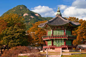 Gyeongbokgung Palace Pavilion Up Close Wallpaper