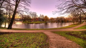 Haarlem Park Sunset Wallpaper