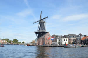 Haarlem Windmillon River Spaarne Wallpaper