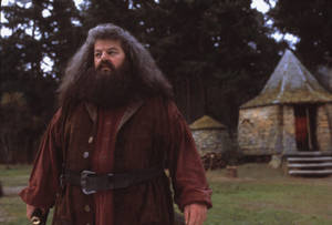 Hagrid Red Coat Harry Potter Laptop Wallpaper