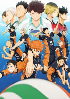 Haikyuu Team Spirit Anime Artwork Wallpaper