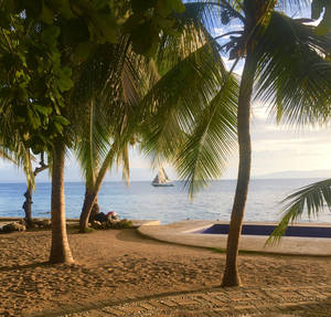 Haiti Fine Sand Beach Wallpaper