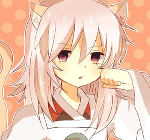 Hakudoshi 900 X 837 Wallpaper Wallpaper