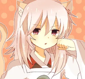 Hakudoshi 900 X 837 Wallpaper Wallpaper