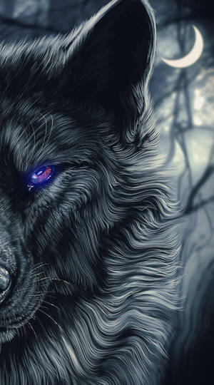 Half Face Black Wolf Wallpaper