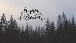 Halloween Aesthetic Pc Pine Forest Wallpaper