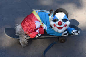 Halloween_ Clown_ Dog_on_ Skateboard Wallpaper