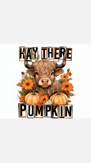 Halloween Cow Pumpkin Greeting Wallpaper