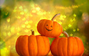 Halloween Fall Pumpkin Wallpaper