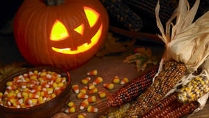 Halloween Pumpkin Candy Corn Wallpaper