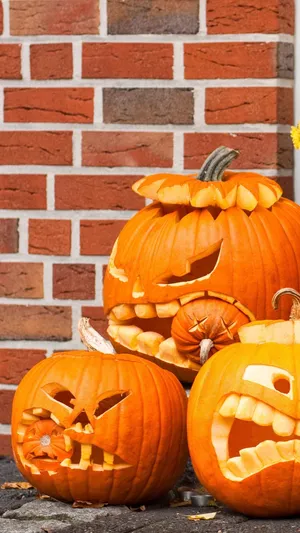 Halloween Pumpkin Carvings Brick Backdrop Wallpaper
