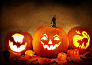 Halloween Pumpkin Trio Carvings Wallpaper