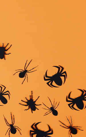 Halloween Spider Shadows Orange Background Wallpaper