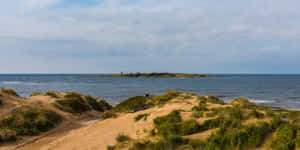 Halmstad Coastal Dunes Scenery Wallpaper