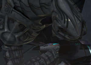 Halo Arbiter Standing Fierce In Battle Wallpaper