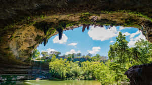 Hamilton_ Pool_ Preserve_ View Wallpaper