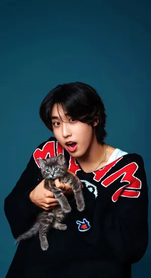 Han Stray Kids With Cat Wallpaper