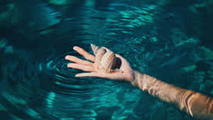 Hand Holding Shellin Water.jpg Wallpaper