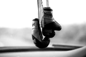 Hanging Boxing Gloves Monochrome Wallpaper