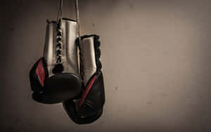 Hanging Boxing Gloves Vintage Style Wallpaper