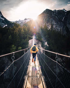 Hanging Bridge Nature Adventure Wallpaper