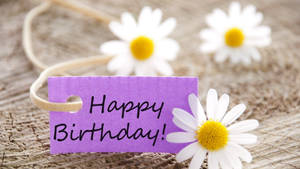 Happy Birthday Flowers White Daisies Wallpaper