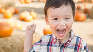 Happy Boyat Pumpkin Patch Wallpaper