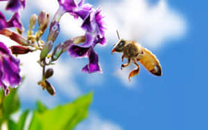 Happy Buzzing In The Flower Garden Wallpaper