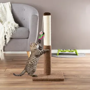 Happy Cat Enjoying A Scratching Post Wallpaper