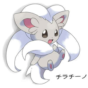 Happy Cinccino Wallpaper