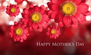 Happy Mothers Day Greeting Red Flowers Background Hd Wallpaper