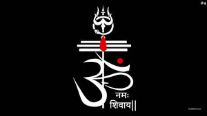 Har Har Mahadev Black White Wallpaper