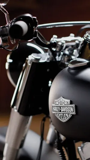 Harley Davidson Fat Boy Bikes Iphone Wallpaper
