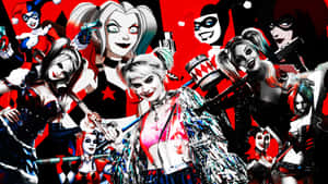 Harley Quinn Evolution Collage Wallpaper