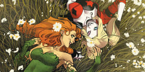 Harley Quinn Poison Ivy Meadow Embrace Wallpaper