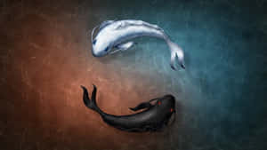 Harmonious Yin Yang Fish Combining Dual Forces Wallpaper