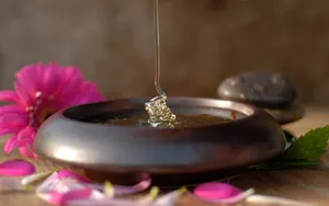 Harmony In Nature Wallpaper