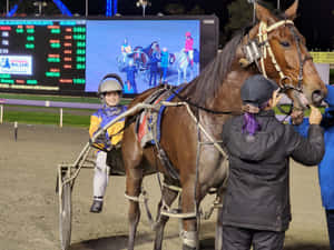 Harness Racing Victory Celebration Wallpaper