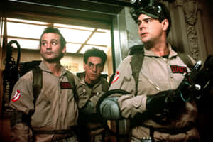Harold Ramis 1581 X 1054 Wallpaper