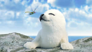 Harp Seal Pup Enjoying Sunshine Wallpaper