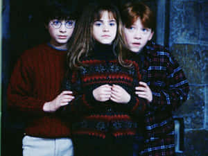 Harry Potter And The Golden Trio Wallpaper