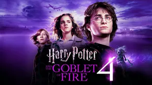 Harry Potter Faces The Goblet Of Fire Wallpaper