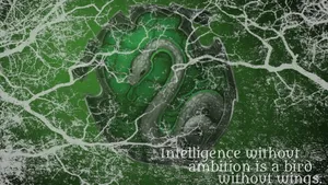 Harry Potter Facing The Fearsome Serpent In A Thrilling Battle Wallpaper