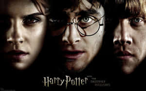 Harry Potter Goble Of Fire All Characters Wallpaper