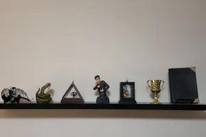 Harry Potter Themed Shelf Display Wallpaper