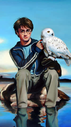 Harry Potter With Hedwig Wallpaper