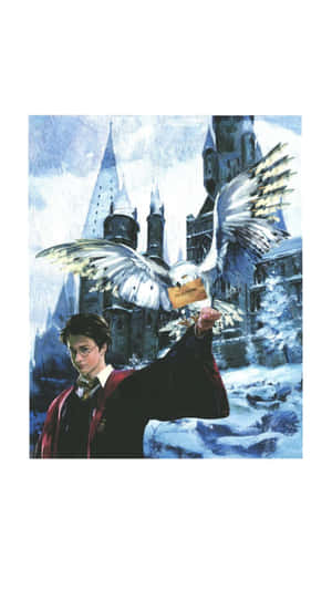 Harry Potter With Hedwig Wallpaper