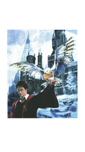 Harry Potter With Hedwig Wallpaper