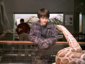 Harry Potterandthe Snakeatthe Zoo Wallpaper